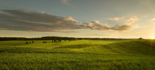 rapport-parlement-niet-genoeg-synergie-tussen-horizon-europe-en-het-cohesiebeleid